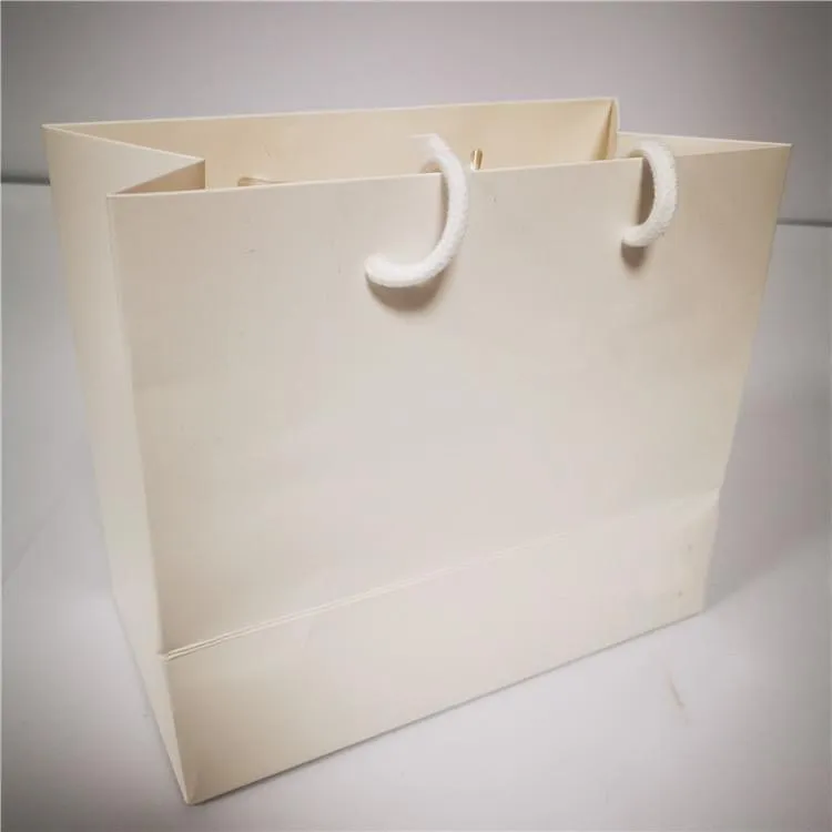White Shopping Bag with White Rope Handles