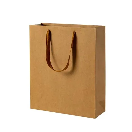 Kraft Shopping Bag with Twisted Paper Handles - Small 26x10x32cm